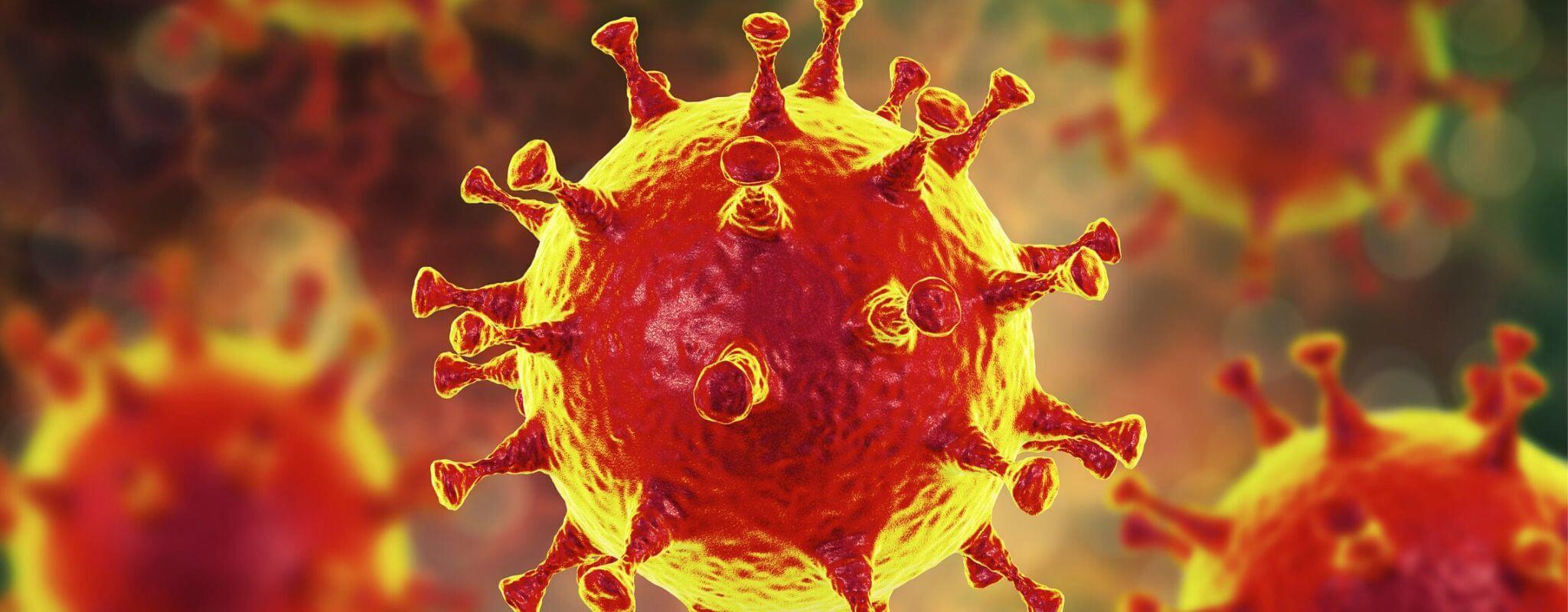 Coronavirus_So sortiert das Virus gerade die Welt neu