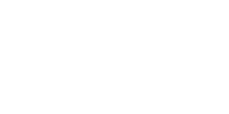 vivavis Logo: VIVAVIS